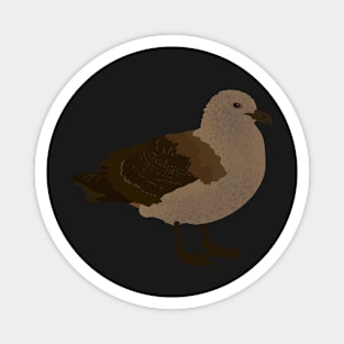 Antarctic Brown Skua Magnet